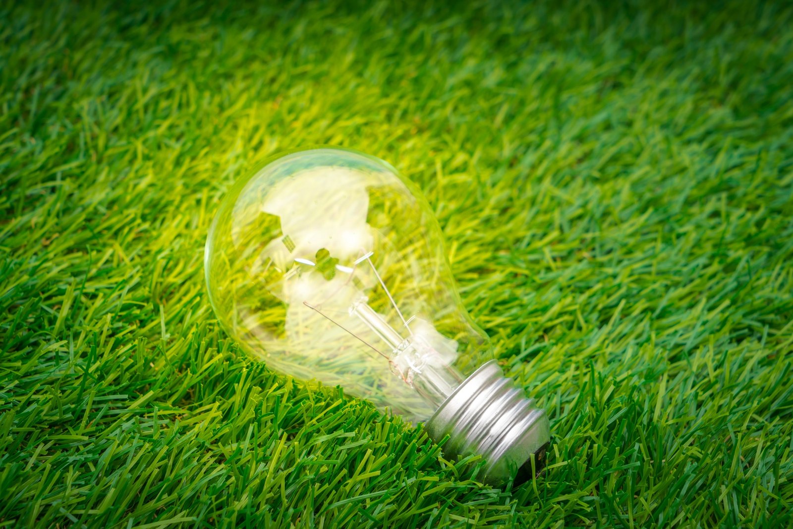 Green Expo: معرض الشركات والمؤسسات المتخصصة في التكنولوجيا البيئية والاستدامة